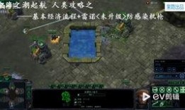 八重虫子爆料视频大全,揭秘幕后真相与精彩瞬间